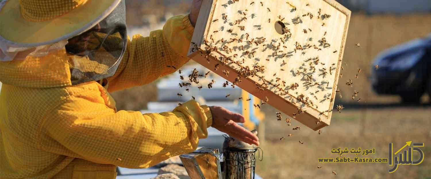 ثبت شرکت زنبورداری